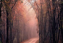 新西兰选手在帆船比赛中夺魁