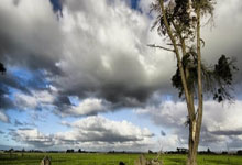 圣埃蒂安欲胜阿拉斯卡利什尔，冲刺榜首