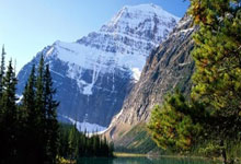 圣埃蒂安欲胜阿拉斯卡利什尔，冲刺榜首